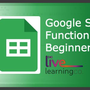 Google Sheets Functions for Beginners