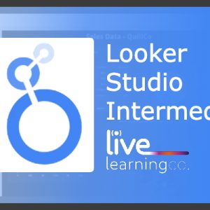 An Intermediate Guide to Looker Studio