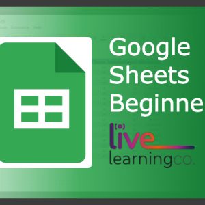 Master the Basics of Google Sheets